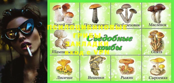 не бодяженный Нязепетровск