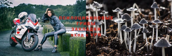 a pvp Няндома