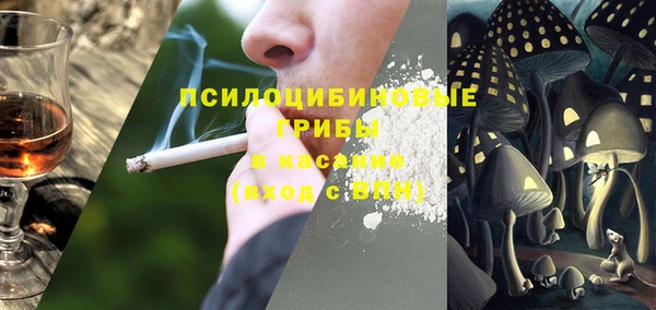 гашик Нягань
