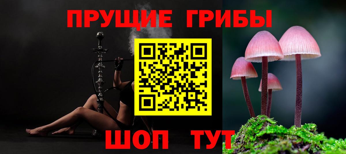 Галлюциногенные грибы мухоморы Шарыпово